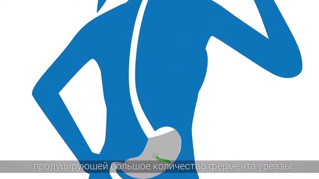 ГАСТРОТЕСТ смотреть онлайн