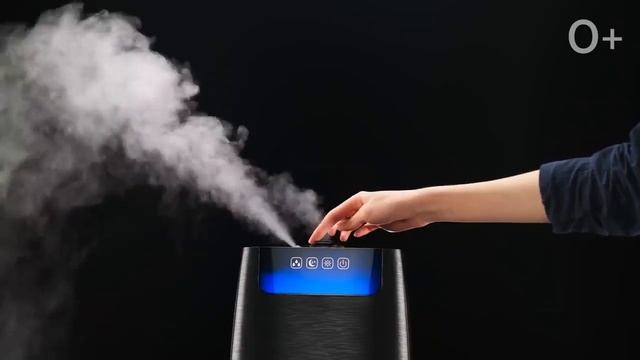 ASMR Kitfort смотреть онлайн