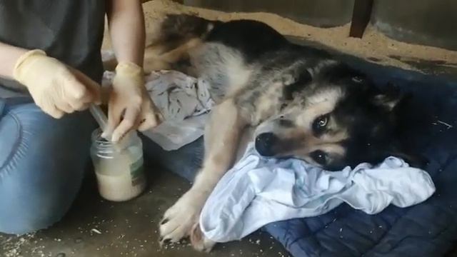 Барошу парализовало смотреть онлайн