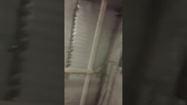 ВЫРАЩИВАНИЕ ГРИБОВ ВЕШЕНКА. ПЕРВЫЙ ОПЫТ смотреть онлайн