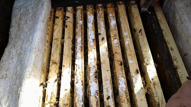 Подсилил смотреть онлайн