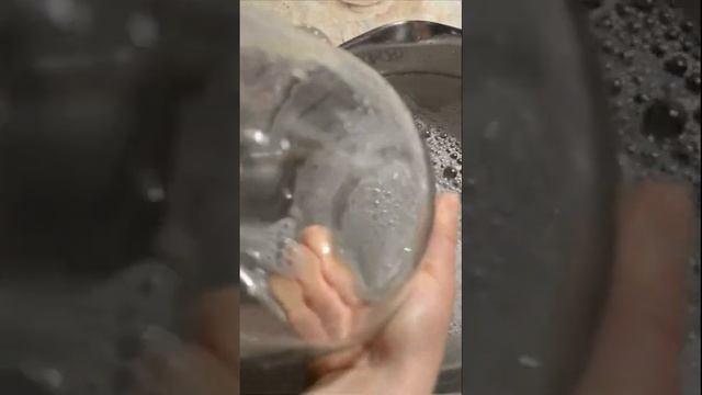 Весь процесс заготовки березового сока из леса от А до Я