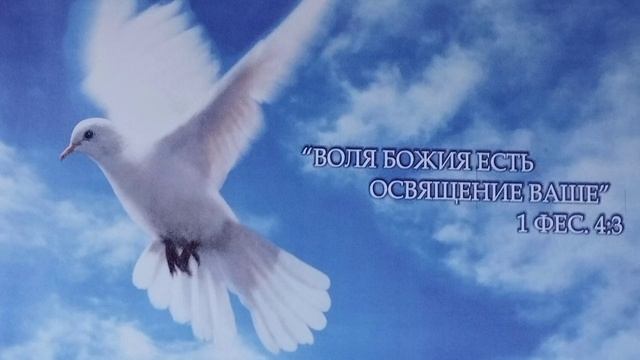 Что делать, чтобы не грешить? смотреть онлайн