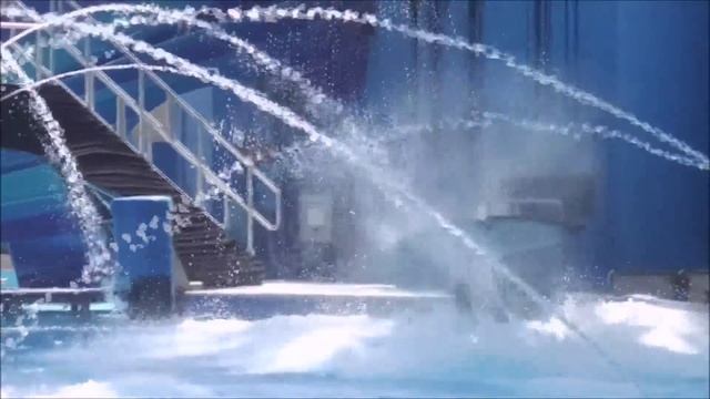 One Ocean Full Show @ SeaWorld Orlando - Soak Zone смотреть онлайн