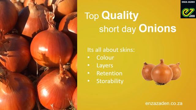 Enza Zaden: Leaders in short day Onions смотреть онлайн
