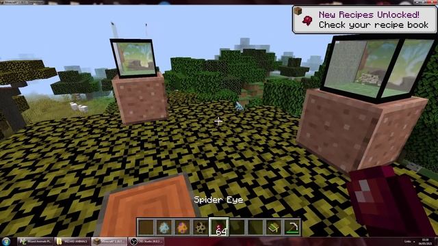 Minecraft - Wizard´s Animals Mod - First View of new Small Reptile Terrarium смотреть онлайн