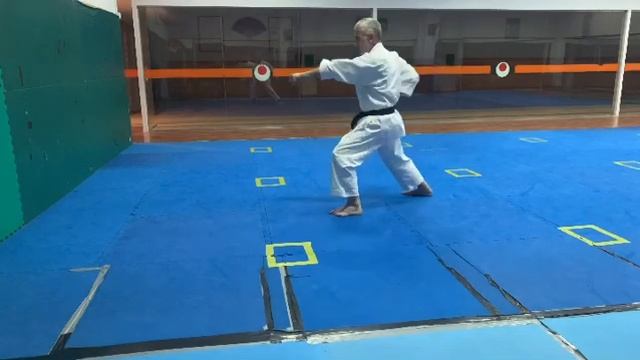 Kihon. Shotokan Karate. смотреть онлайн