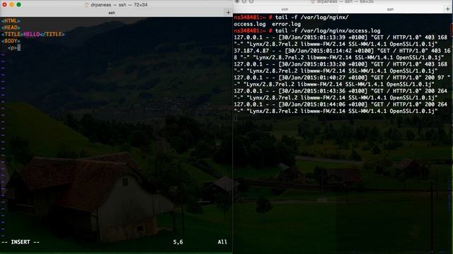 nginx localhost test смотреть онлайн