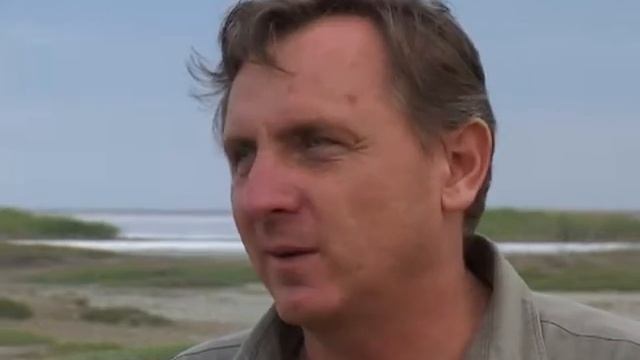 Лечебная грязь(Зеленый туризм)--Therapeutic mud смотреть онлайн