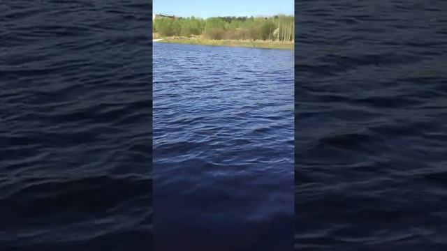 Рыбалка на реке Тосно 18+ смотреть онлайн