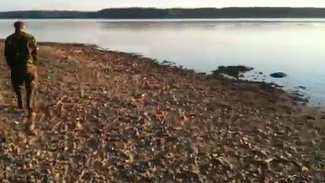 Гуляем по берегу Шексны смотреть онлайн