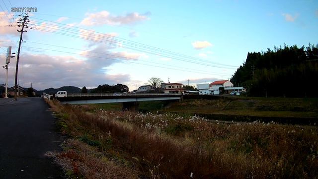 Japanese pampas grass (Miscanthus sinensis)　20171211 165757 смотреть онлайн