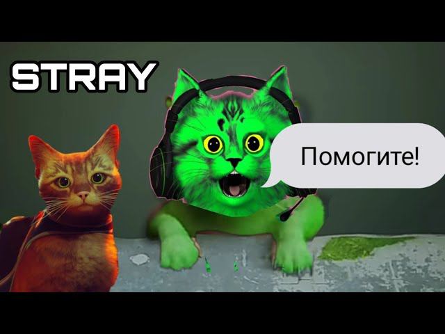 падаю! путешествие кота в городе будущего! STRAY ⏪ стрей ⏪ прохождение 1. смотреть онлайн