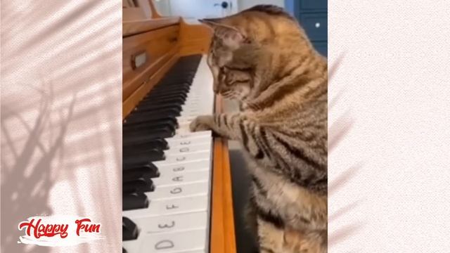 FUNNY ANIMALS 2023 / Cute ANIMALS video смотреть онлайн