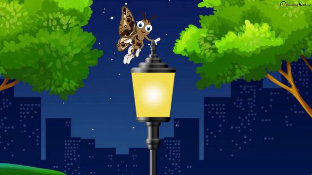 Common Insect Names for Kids | Bugs for Kids | Introduction to Insects смотреть онлайн