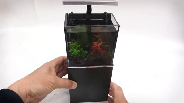 The World's Smallest Plant Aquarium #3 (5 Week Update) смотреть онлайн