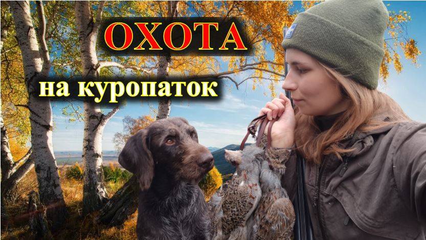 Охота на куропаток, коростель с дратхааром, Азарт, девушка охотник смотреть онлайн