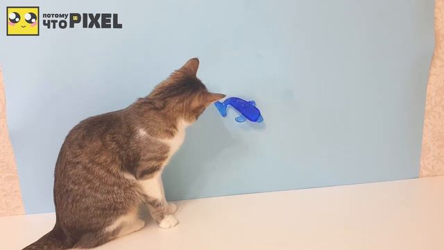 ШОК! НА КОШКУ НАПАЛ ЛИЗУН! 8 ЛИЗУНОВ ХВАТАЛОК-ЛИПУЧЕК!ЛЯГУШКА.МЕЛКИЕ ПАКОСТИ ЖВАЧКА ДЛЯ РУК  SLIME