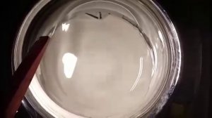 Отжим стиральной машины Канди