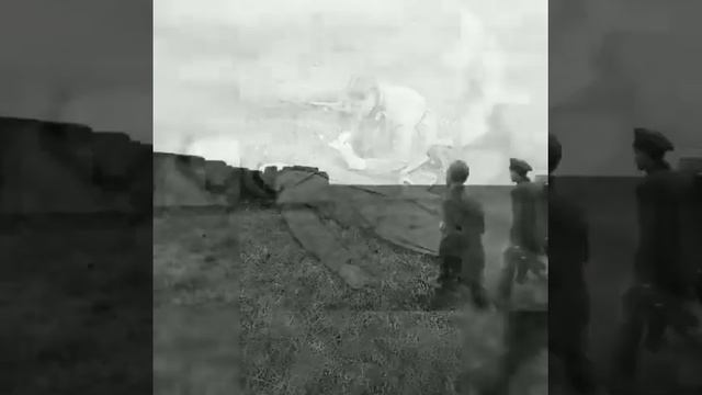 В памяти пронесем Навеки! смотреть онлайн