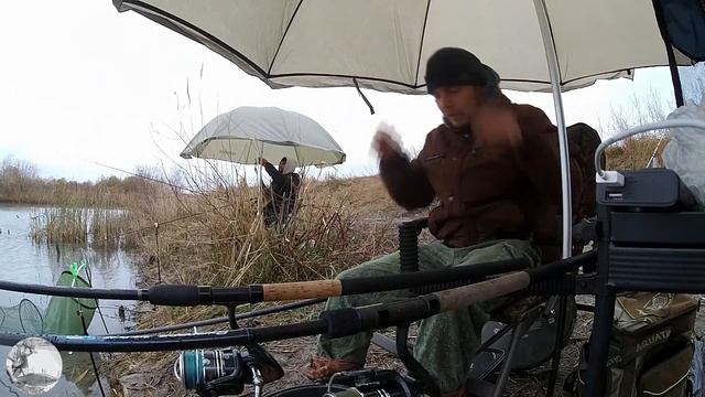 Фидерная ловля осенью по холодной воде. Ловля карася и подлещика на фидер. смотреть онлайн