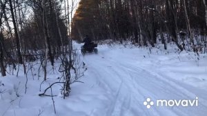 ЧЕТЫРЕХКОЛЕСНЫЙ МУРАВЕЙ ЕДЕТ БОКОМ ПО ЛЕСУ ЗИМОЙ