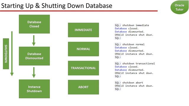 Oracle Database Startup and Shutdown Modes смотреть онлайн