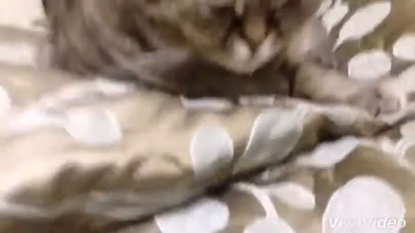 ТУН ТУДУН ТУДУН 🤓