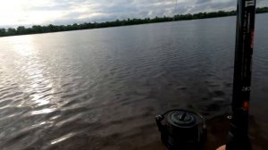 Судак на живца/Рыбалка на донки с берега/Видеоотчет Май 2021