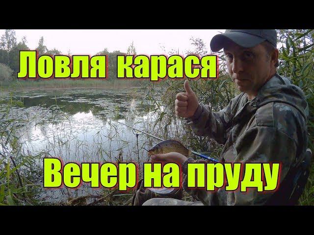 Ловля карася. Вечер на пруду