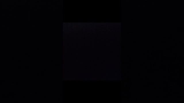 кот играеться с мышкой??