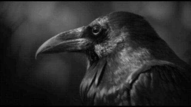 5 Scary TRUE Stories to Keep You up at Night (Vol. 7) смотреть онлайн