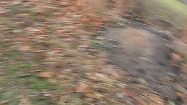 1982 Toyota Pickup 2.2L Diesel-169k Miles