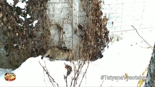 Чудесный день. Продолжаем знакомится с садом. смотреть онлайн