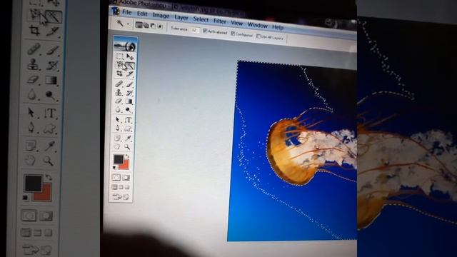 Difference between magic wand tool and magnetic lasso tool смотреть онлайн