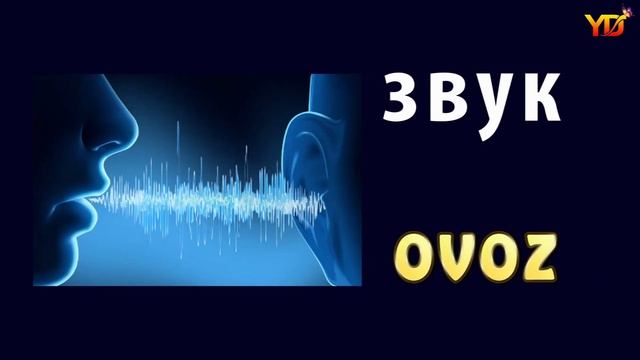 1000 Русский узбекский словарь 6 урок смотреть онлайн