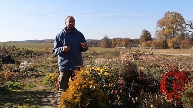 22 ПЛОДОВЫХ растения, которые ДЕЙСТВИТЕЛЬНО СТОИТ выращивать из КОСТОЧЕК! Полный список в описании. смотреть онлайн