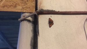 Mitsubishi Lancer 10 мотор 4A91 1.5 - Ремонт ГБЦ и правильная установка цепи ГРМ.