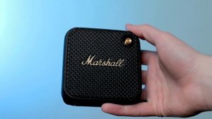 Marshall Willen | Одна из лучших Marshall