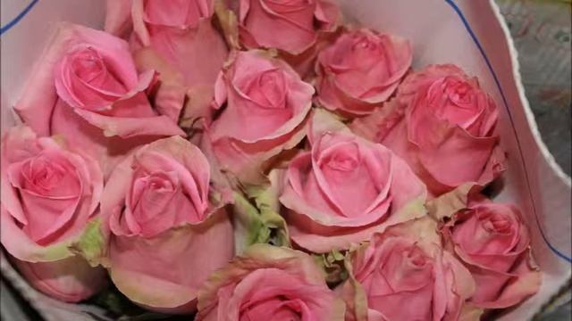 цветы в Ереване Ajania flowers salon смотреть онлайн