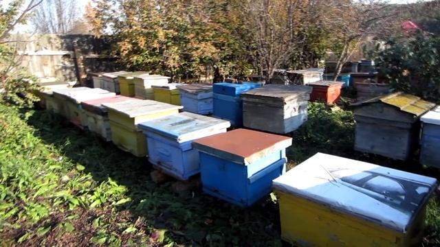 Расстановка ульев и их подставки. Beekeeping.