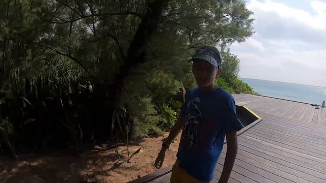 Чай с Цукербергом (Поездка на Тайвань 2018) часть 2 смотреть онлайн