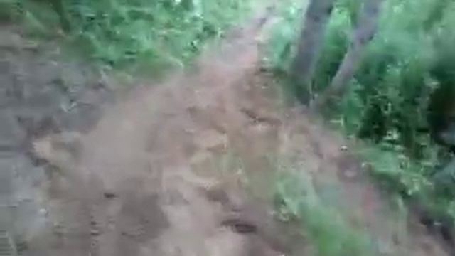 Fahrrad trail in Reinbek- Neuschö смотреть онлайн
