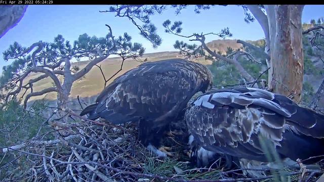 29.04.2022 Алтын пытается прорваться к сокровищам. Но, это не просто😂 Содержание ⬇️ смотреть онлайн