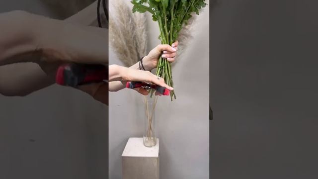 БУКЕТ ИЗ РОМАШЕК. смотреть онлайн