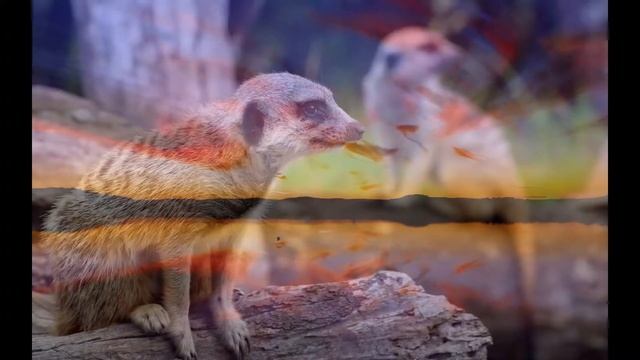 SAVE GTA 5 : 100% + SPACE DOCKER + 1 000 000 000 $ смотреть онлайн