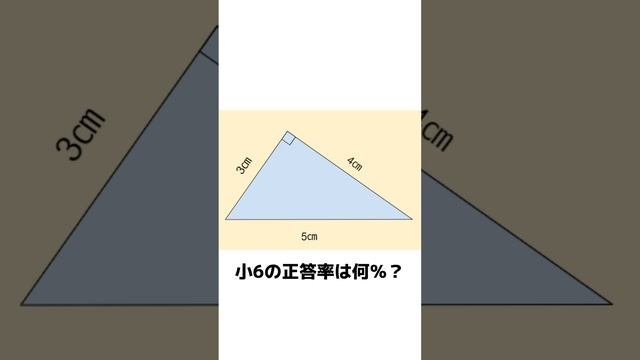 直角三角形の面積、求められますか？ смотреть онлайн