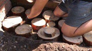 Как сделать дорожку из спилов за 12 минут// Супер идея для дачи и сада//DIY