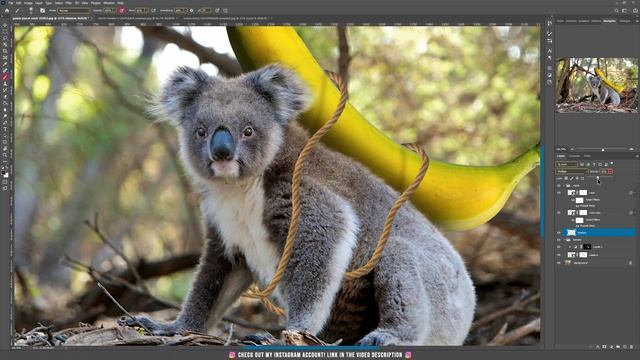 Funny Koala - Fantasy Photoshop Manipulation смотреть онлайн