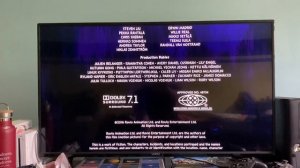 Closing to The Angry Birds Movie DVD (2016)